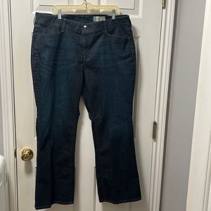 Gap Women’s Curvy Stretch Jeans 20R